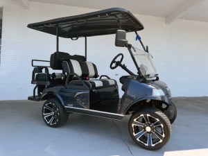 Arctic Grey Evolution Pro Plus Golf Cart Tidewater 02